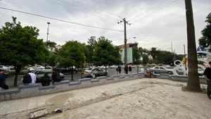 پارک شادی