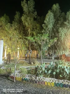 باغ تالار حافظ 4