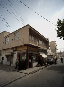 گالری ارگانزا 2