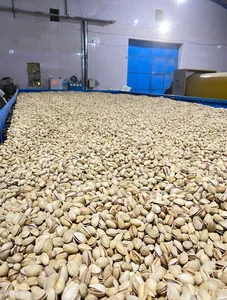 Majestic Pistachio Processing Factory and Warehouse No. 2