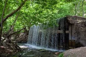 مربیگری درجه یک موی تای کیک بوکسینگ
