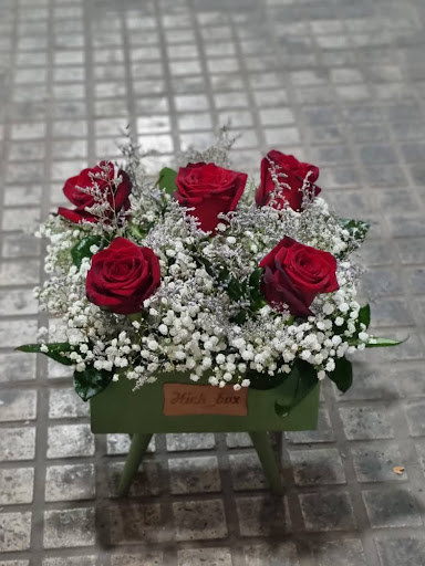 گل و گلدون ستاره