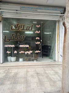 املاک ملکی