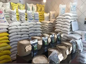 بورس برنج مبینی 4