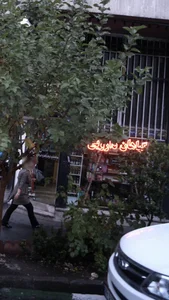 گیاهان دارویی 2