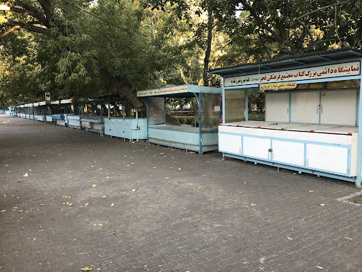 Bağ Qabağı BRT Otubus Duraği