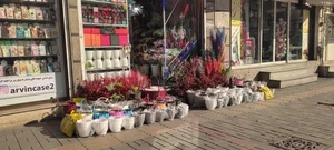 قصر گل میلاد 2