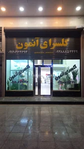 گلسرای آنِمون