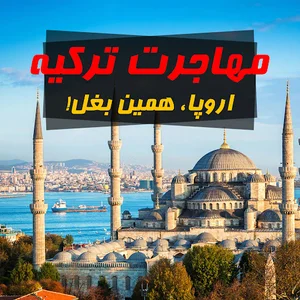 مجموعه بین المللی لید