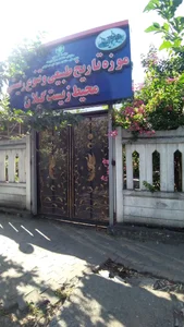 موزه تاریخ طبیعی گیلان 2