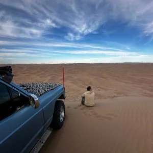 بومگردی آرسیس