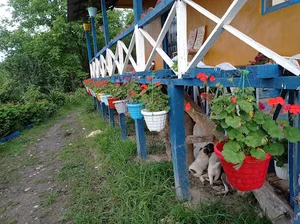 ویلای جنگلی شکردشت