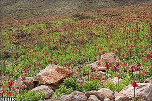 قبرستان دشت آباد لردگان