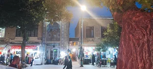 Historical House
