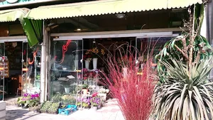 گل فروشی شقایق