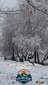 باغستان ساقی