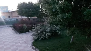 پارک اتوبان