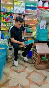 پرنده سرای قناری