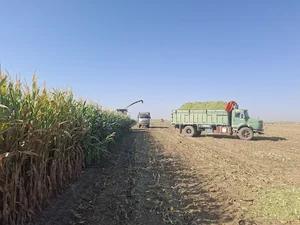 محسن آباد