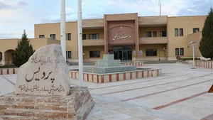 School of Medicine