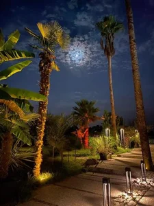 کافه رستوران دپالم 3