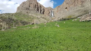 سهند هرگلان