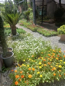 گلخانه سروناز 5