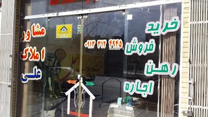 مشاور املاک علی