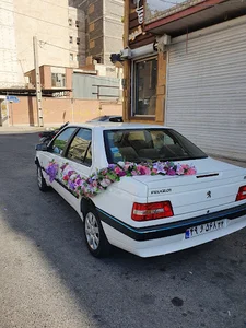 گلفروشی آلستر