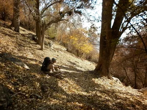 انگور دره