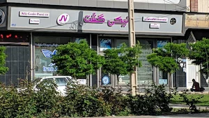 نیکی گشت