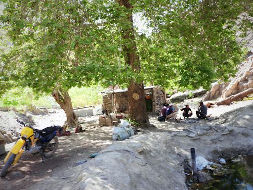 باغ مری