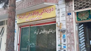 بافندگی و دوزندگی آی تک 2