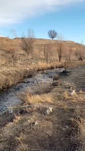 رستوران صحرایی