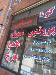 پروتیین علویان نوروزی 5