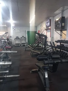 آکادمی ورزشی ماه تندیس 5