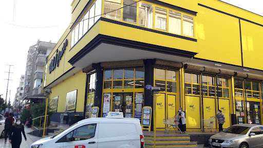 Oli Center