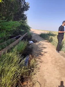 مشاوره املاک اسدی