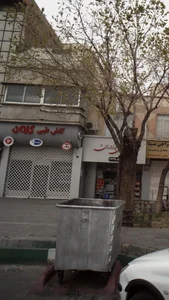 کفش طبی کاوه 2