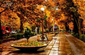 مرکز آموزش کاشت مژه ثمین