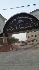 دانشگاه اندیشمند