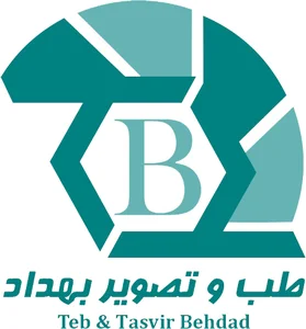 هولدینگ برترین ها