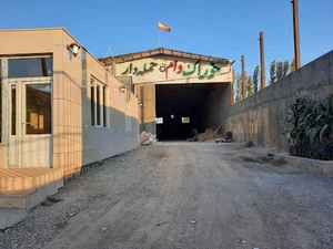 خوراک دام حمله دار