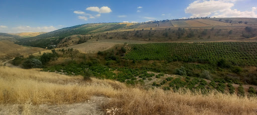 اشخانه