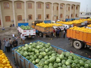 پهپاد سمپاش مستر کشاورز