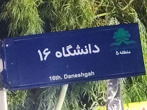 کافه قلیونی ویولا 5