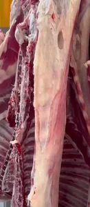 سوپرگوشت مهر امام رضا (ع)