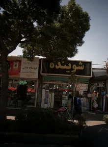 فروشگاه شوینده بهداشتی 2
