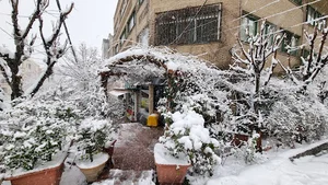 پیتزا دهکده