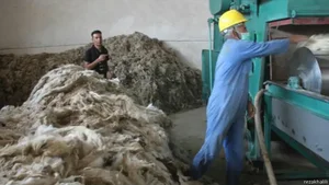 شرکت ریسندگی گیلان